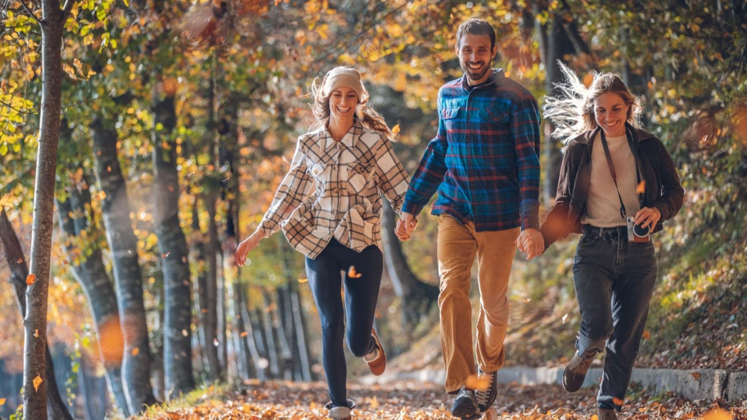Autumn on Alpe Cimbra