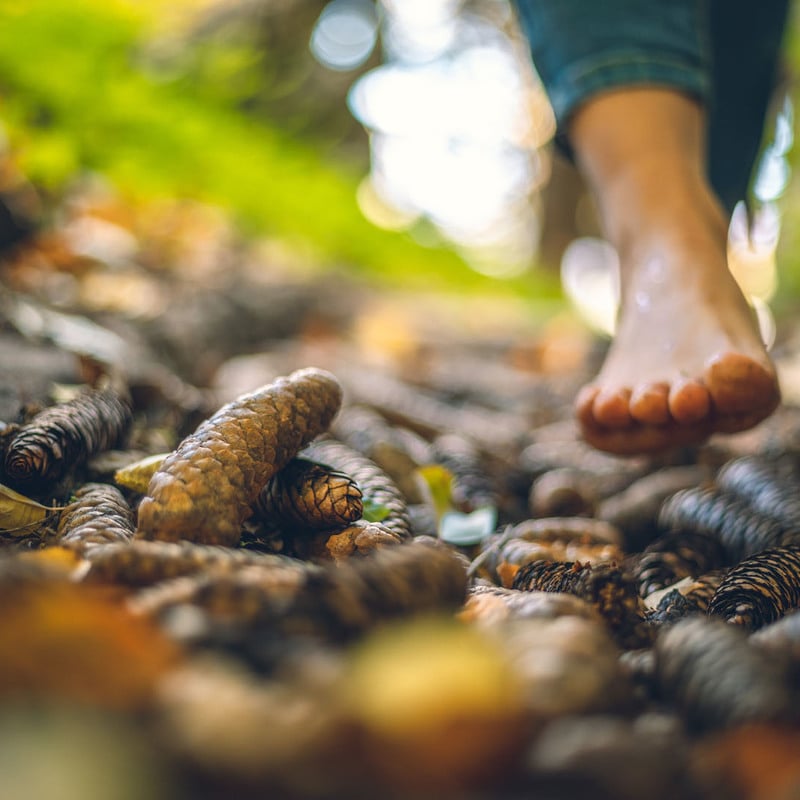 Esperienze d'autunno