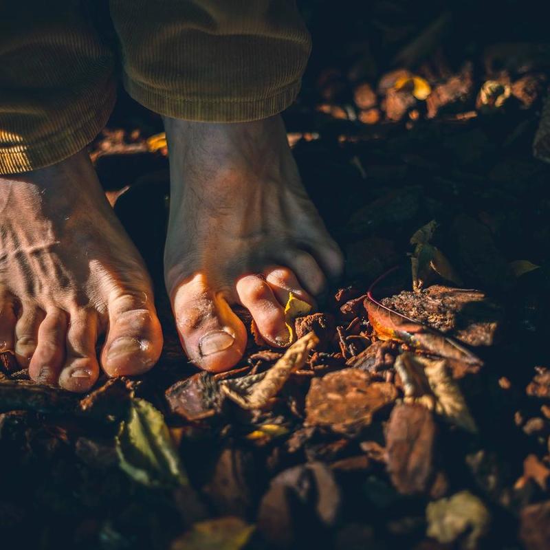 Forest Bathing & Mindfulness tra i colori dell'Alpe Cimbra