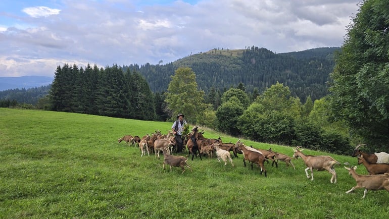 Luserna – włoska wioska, w której mówi się po cymbersku