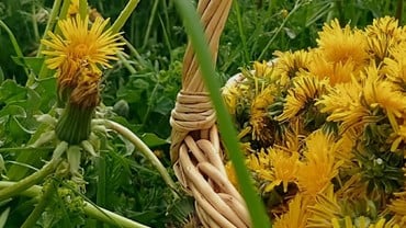 Azienda agricola Piano Terra