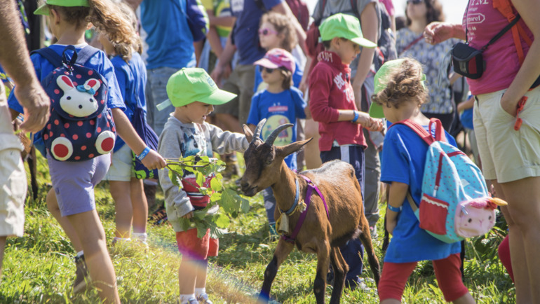 Alpe Cimbra Unfiltered: Forts, Lakes, and a Culture That Speaks Softly