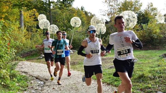 Hunt for the Record at the Third Drago Vaia Trail