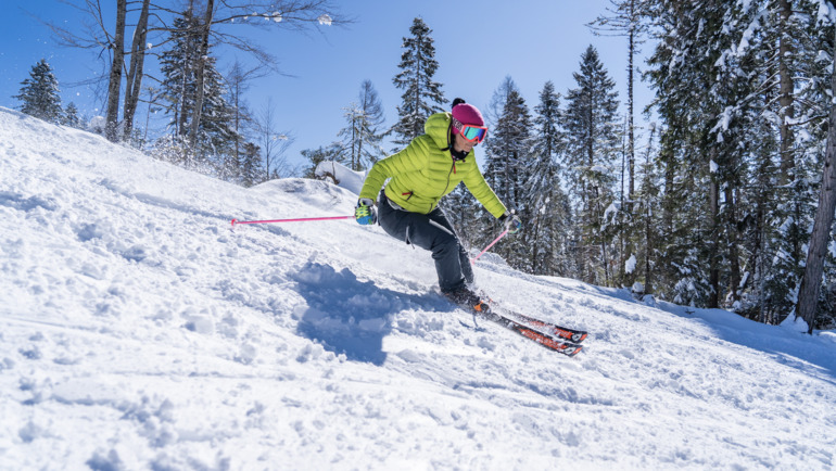 The Magic of Christmas