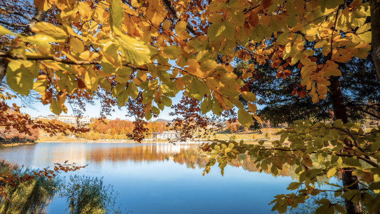Cycling among the colors of autumn and the authentic flavors of the mountains