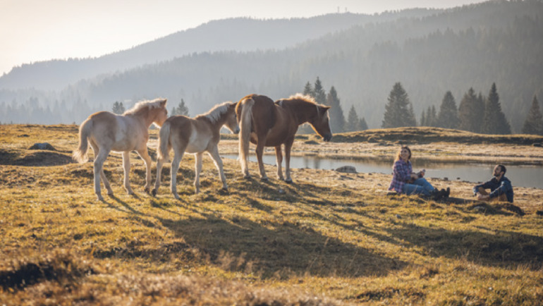 Mit dem Fahrrad durch die Farben des Herbstes und die authentischen Geschmäcker der Berge