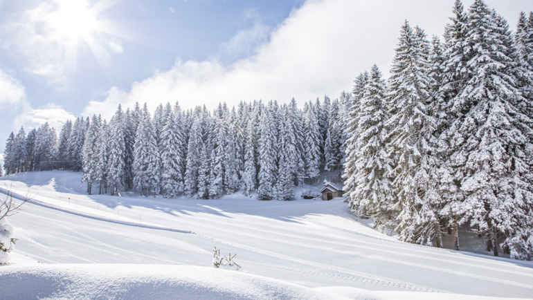 Der Winter, der berührt: wo Veranstaltungen zu Erlebnissen werden