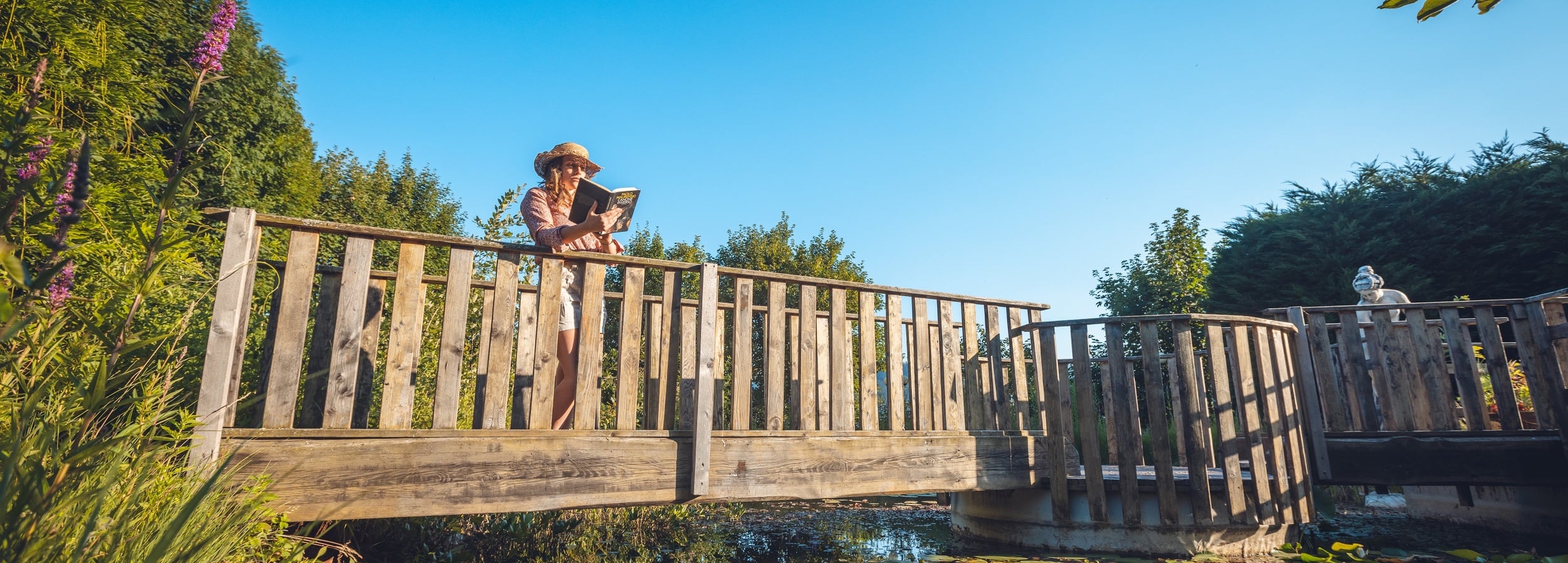 Discover all the experiences on Alpe Cimbra