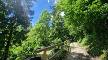 Madonna del Feles Shrine Trail