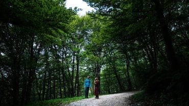 Vigolo Vattaro–Valesel di Mezzo Trail