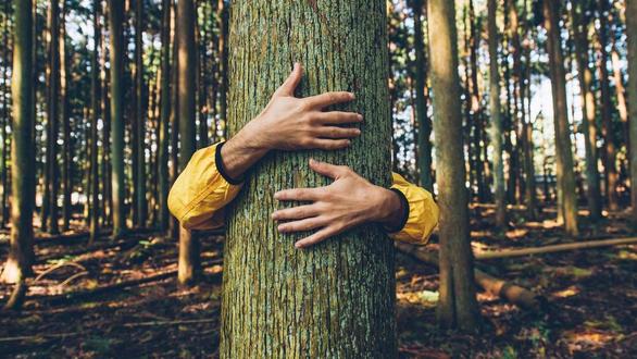 Forest Bathing - I 5 Sensi