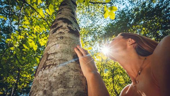 Mindfulness in Natura - Vivi il movimento
