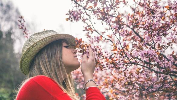 Sinfonia di Primavera - L'incanto dei germogli
