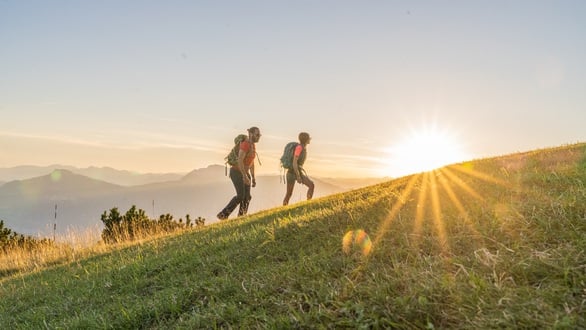 Speciale Hiking - Nel Respiro del Bosco, verso le Vette Interiori