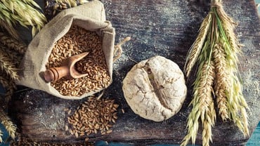 Gastronomia