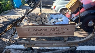 El car dela Patata Seradina (la tonda di Berlino)