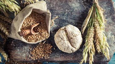 Festival del Pane e delle Farine di Montagna