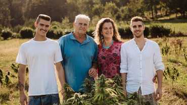 Maestro CBD