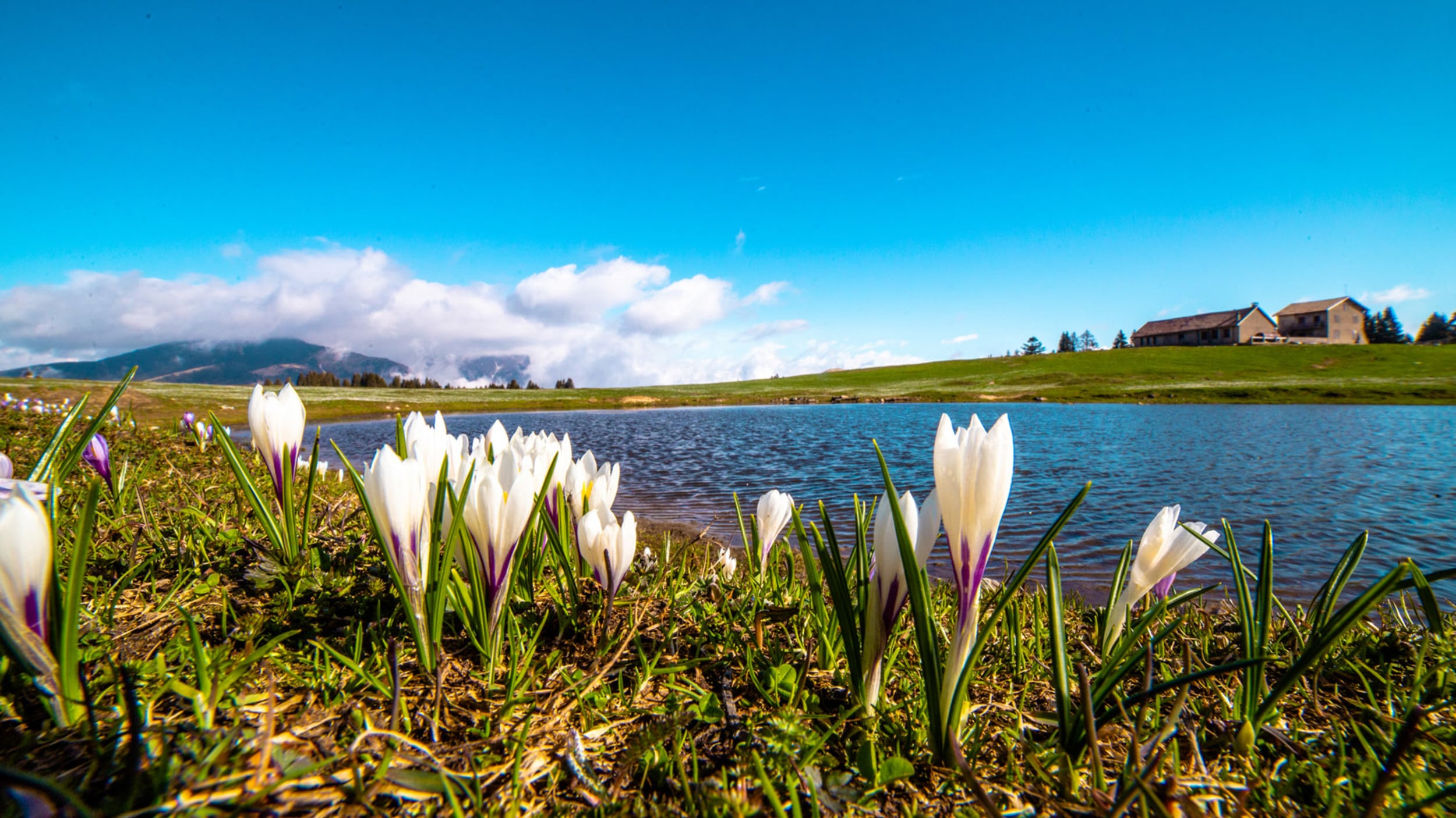 Zauberhafte Alpe Cimbra