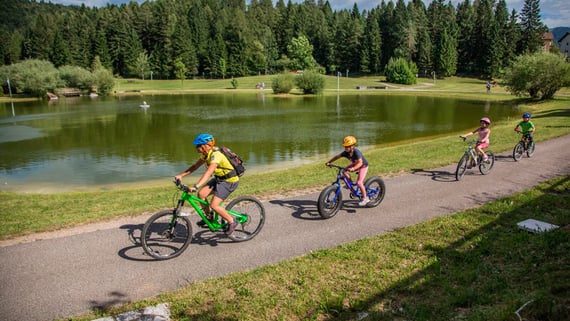 Mountainbikeschule