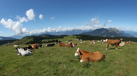 Copia di Copia di Test 1