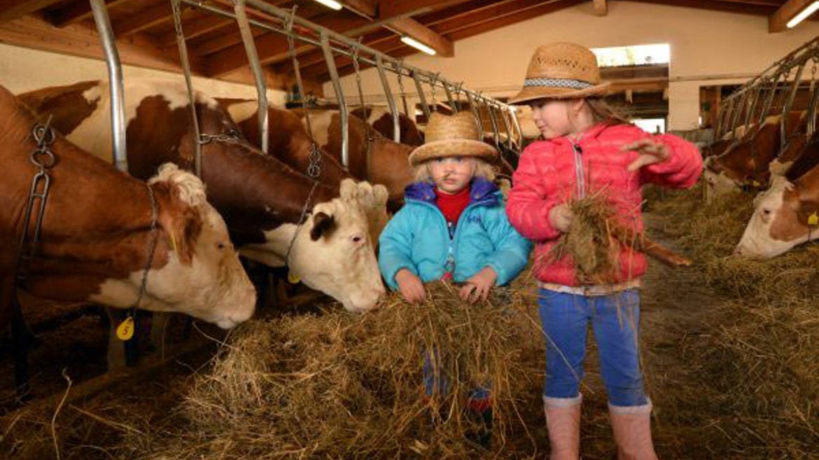 Pädagogische Bauernhöfe