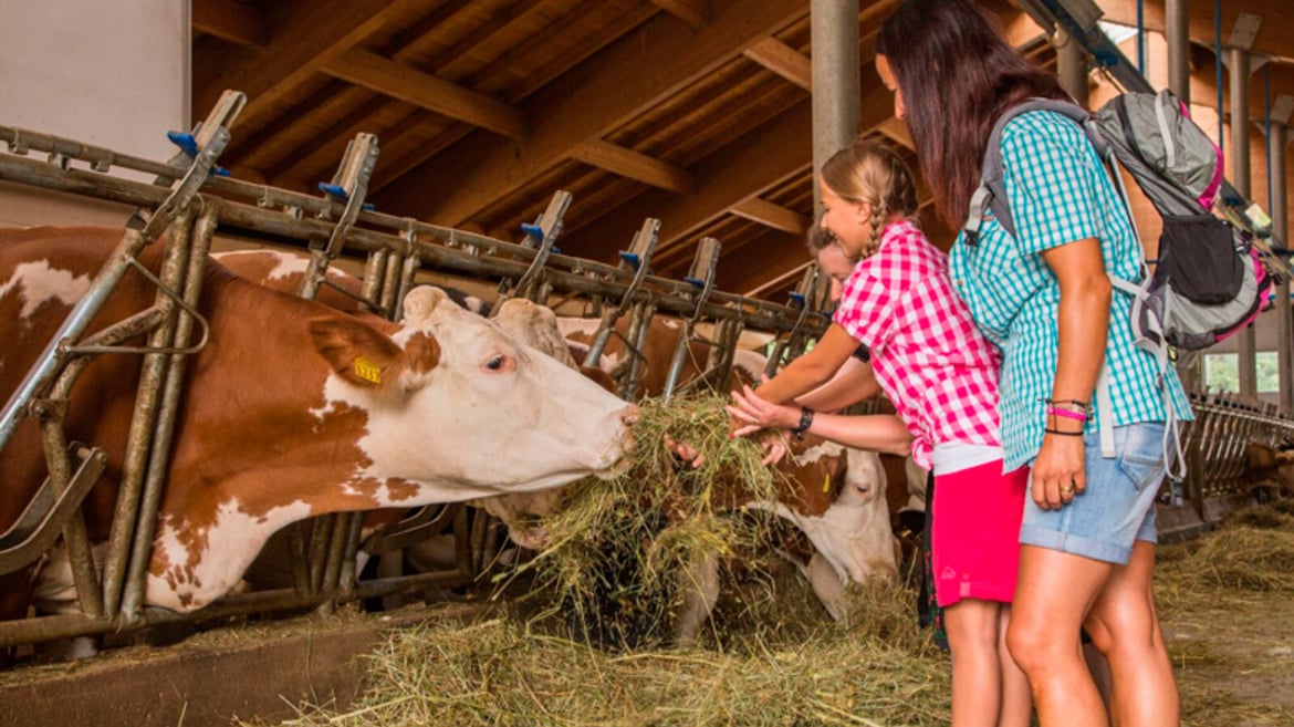Pädagogische Bauernhöfe
