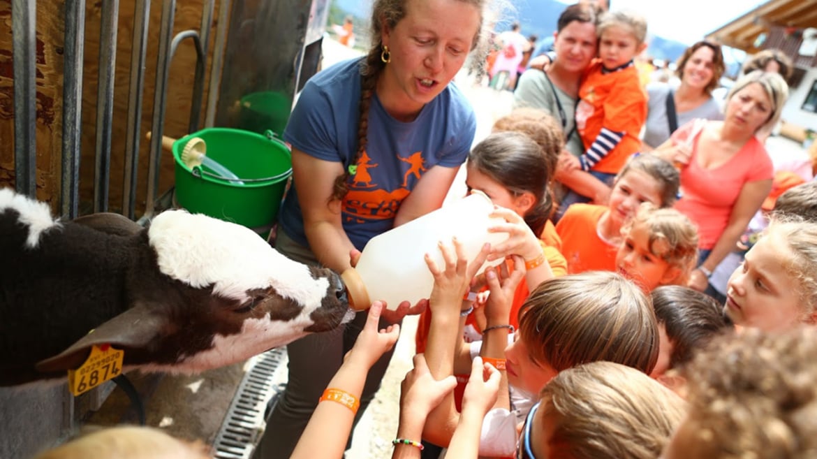 Pädagogische Bauernhöfe