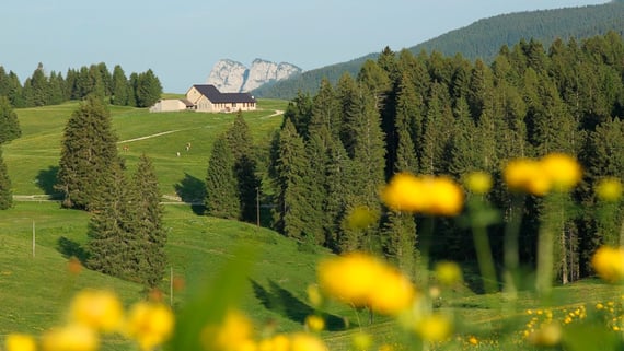 Pädagogische Bauernhöfe