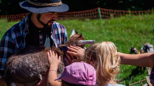 Azienda Agricola Maso Guez