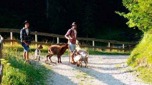 Azienda Agricola Maso Guez